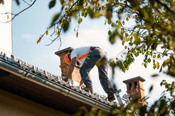 Best Roof Moss and Algae Removal  in New Wilmington, PA